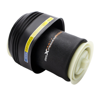 Sospensione Posteriore compatibile per Bmw X5 E70 X6 E71 E72 Ad Aria Spring Bag Set Coppia