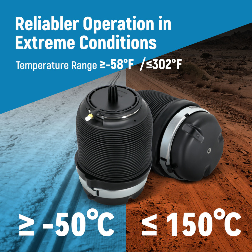 2X Bolsas de suspensión neumática trasera compatible para Audi A6 Allroad C6 4F 4F0616001J