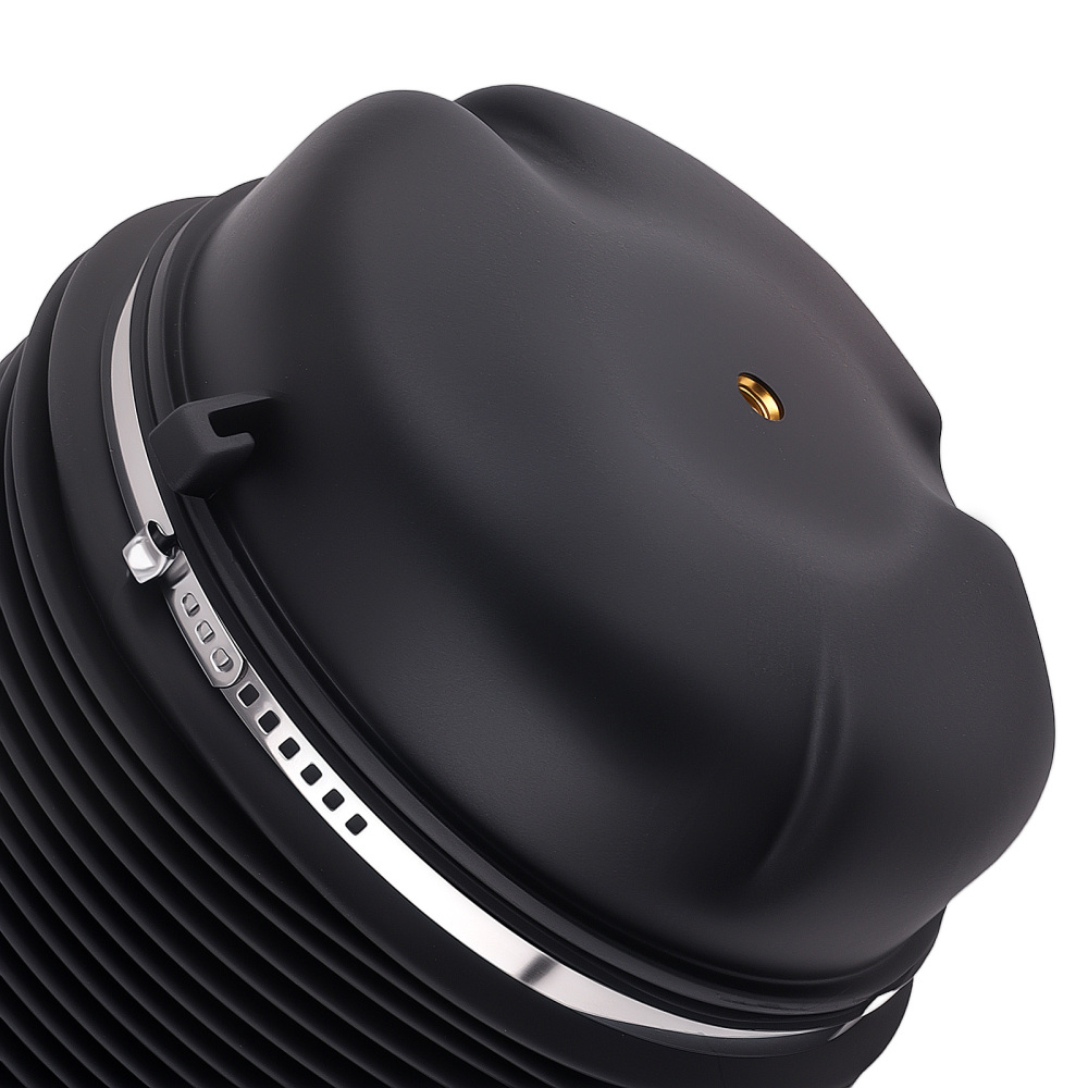 2x ArrièreLuftfeder châssis arrière compatible pour audi A6 4F C6 Allroad Quattro 4F0616