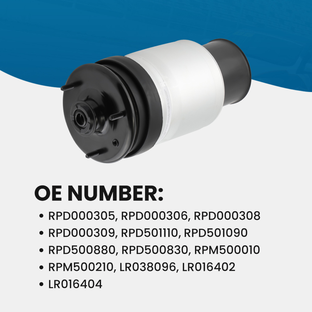 Arrière droit/gauche Air Suspension compatible pour Land Rover Range Rover Sport 06-09