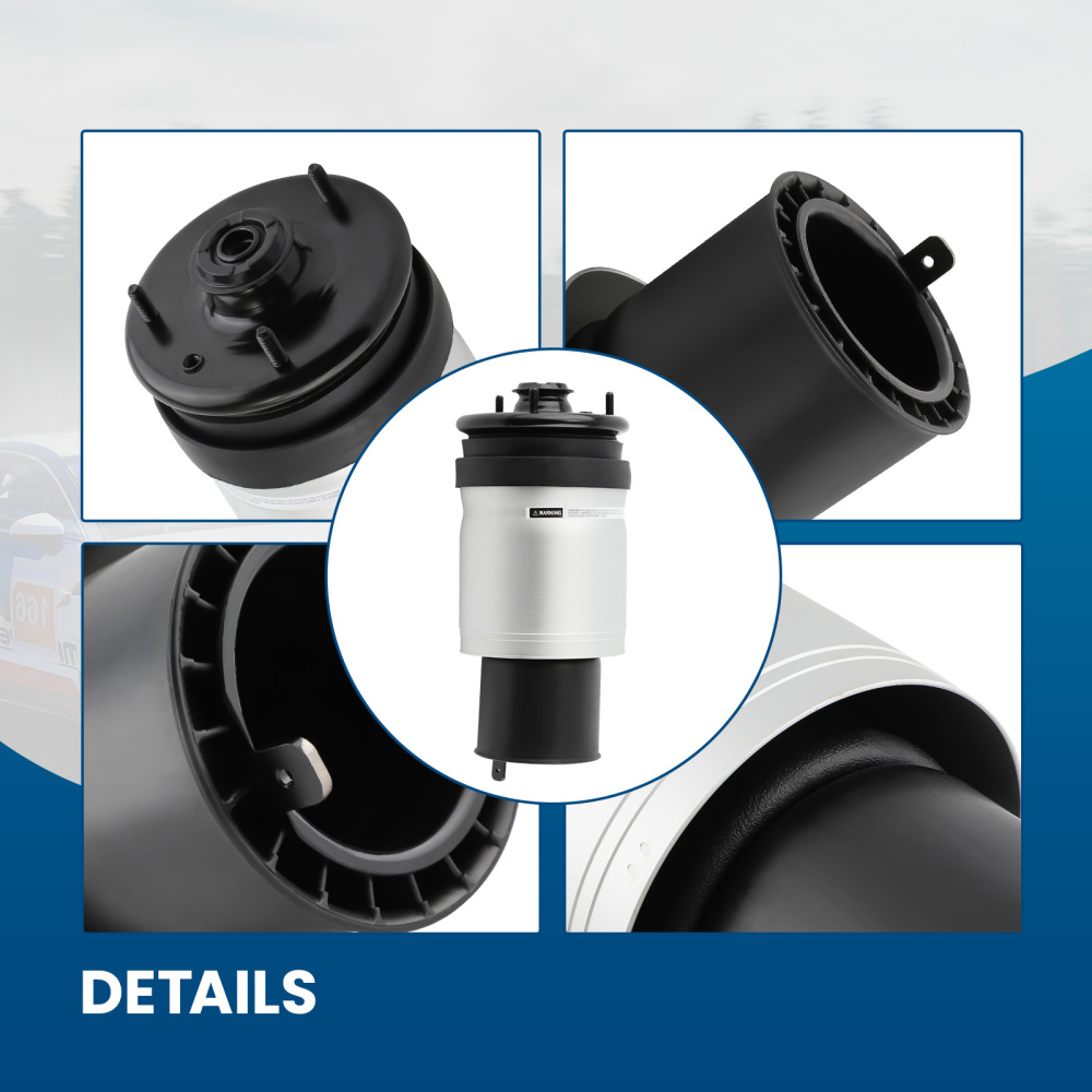 Arrière droit/gauche Air Suspension compatible pour Land Rover Range Rover Sport 06-09