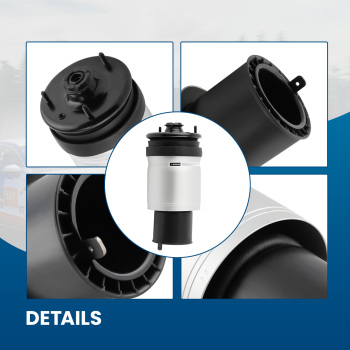 Arrière droit/gauche Air Suspension compatible pour Land Rover Range Rover Sport 06-09