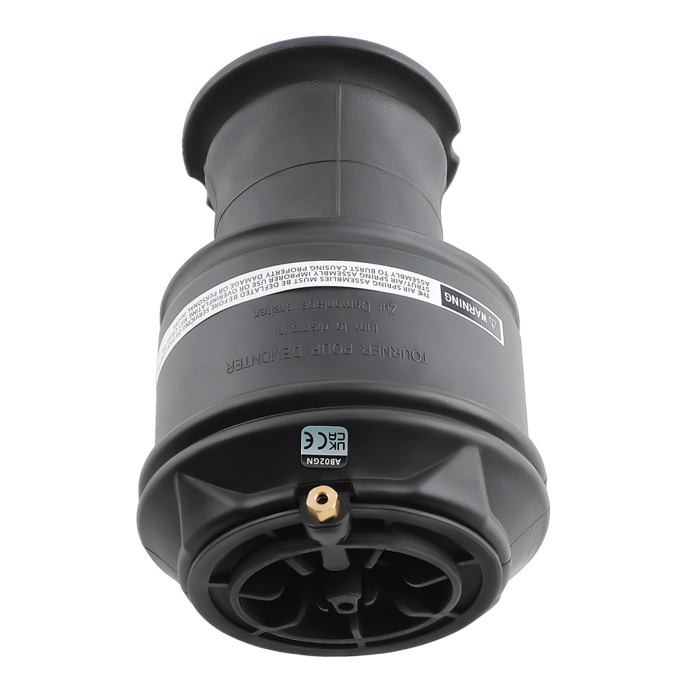 1x Arrière Suspension Pneumatique compatible pour Citroen C4 Picasso 06-13 5102R8 5102GN