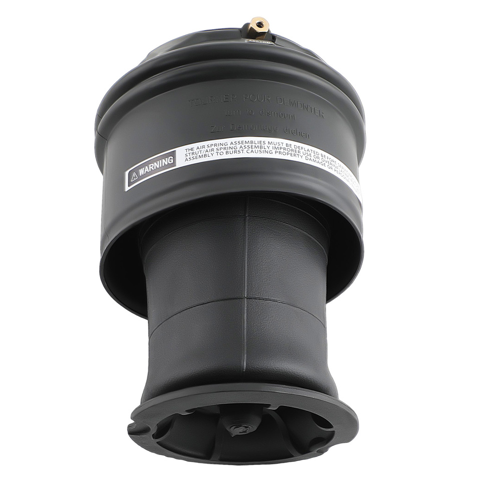 1x Arrière Suspension Pneumatique compatible pour Citroen C4 Picasso 06-13 5102R8 5102GN