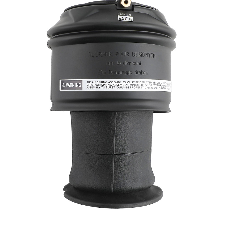 1x Arrière Suspension Pneumatique compatible pour Citroen C4 Picasso 06-13 5102R8 5102GN