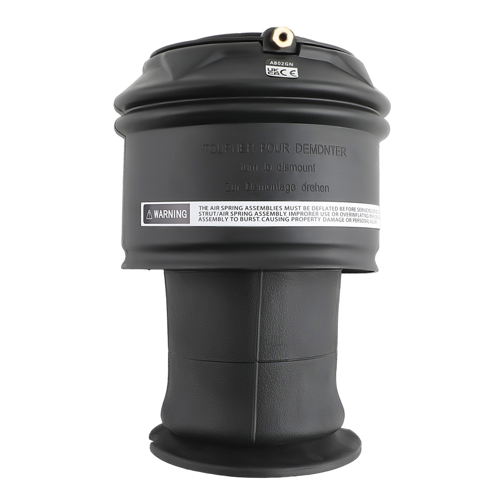 1x Arrière Suspension Pneumatique compatible pour Citroen C4 Picasso 06-13 5102R8 5102GN
