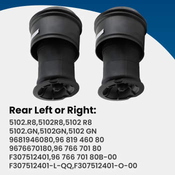 Pair compatible for Citroen C4 Picasso I MK I Rear Air Spring Bags 5102GN 968194608 5102R8