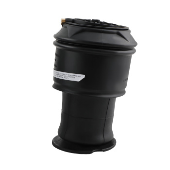 2X Suspensión Neumático Amortiguador trasero for C4 Picasso Grand 5102GN 5102