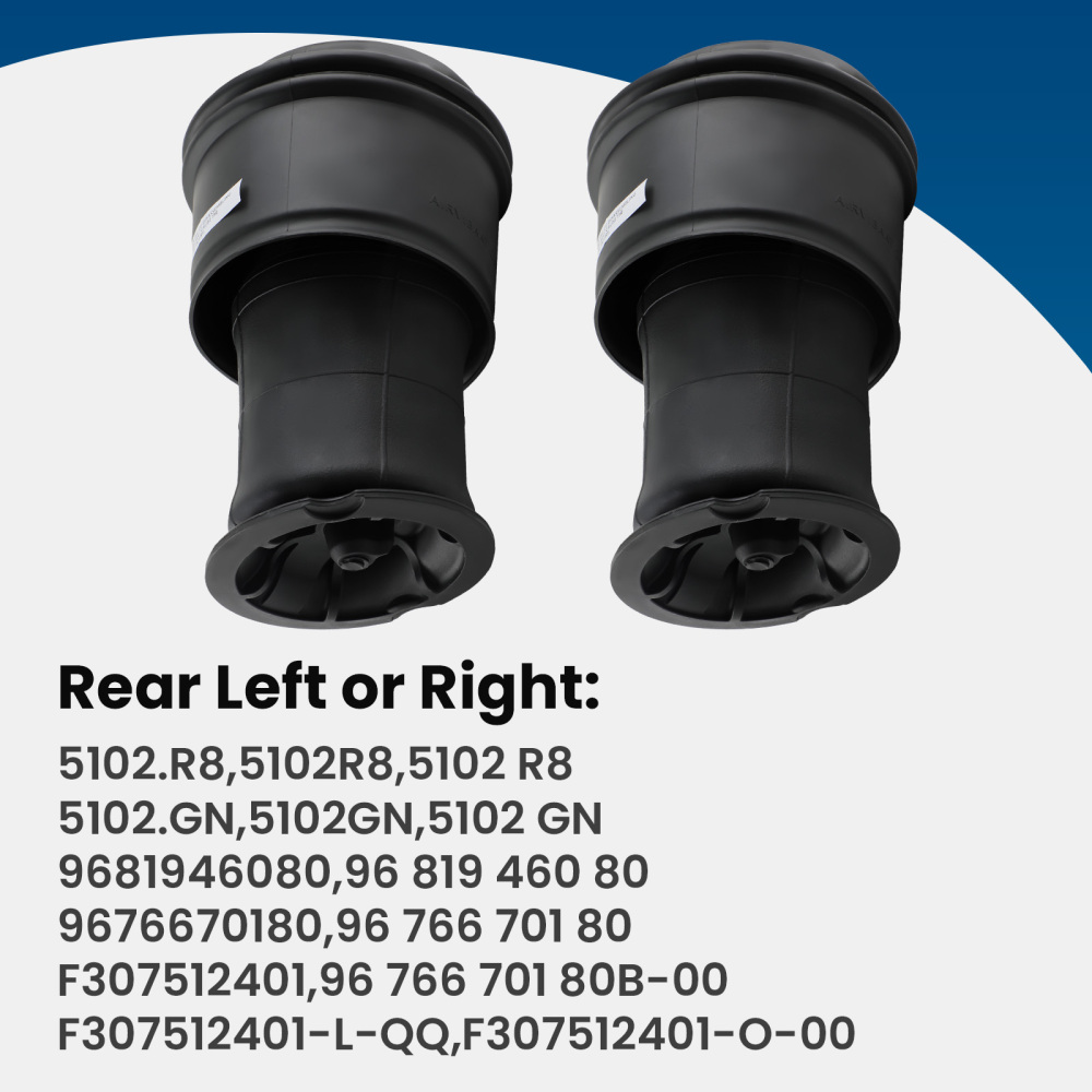 2X Suspensión Neumático Amortiguador trasero for C4 Picasso Grand 5102GN 5102