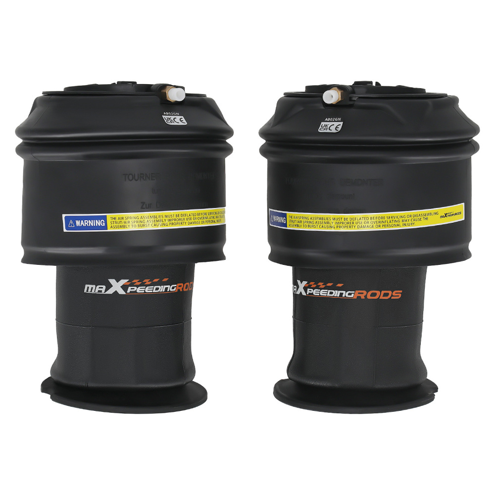 2X Borsa a sospensione pneumatica posteriore compatibile per Citroen C4 Gran Picasso 5102R8