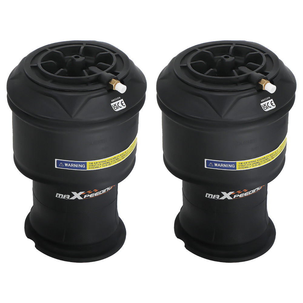 2X Borsa a sospensione pneumatica posteriore compatibile per Citroen C4 Gran Picasso 5102R8