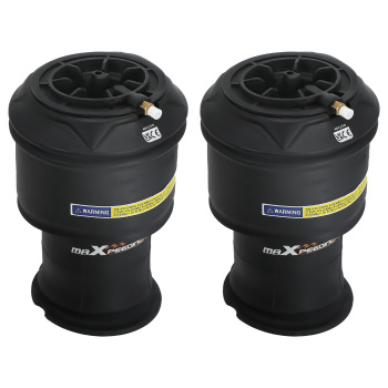 2X Borsa a sospensione pneumatica posteriore compatibile per Citroen C4 Gran Picasso 5102R8