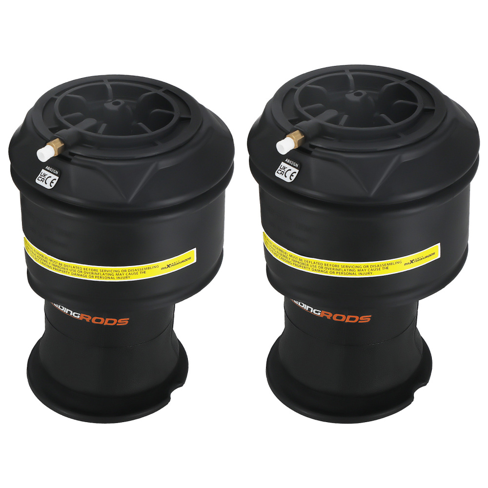 2X Borsa a sospensione pneumatica posteriore compatibile per Citroen C4 Gran Picasso 5102R8