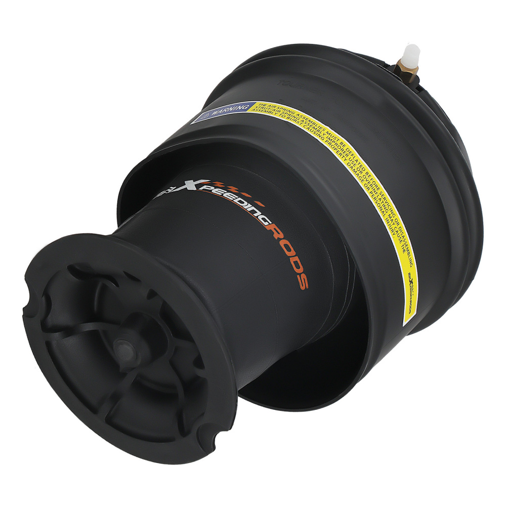 2X Borsa a sospensione pneumatica posteriore compatibile per Citroen C4 Gran Picasso 5102R8