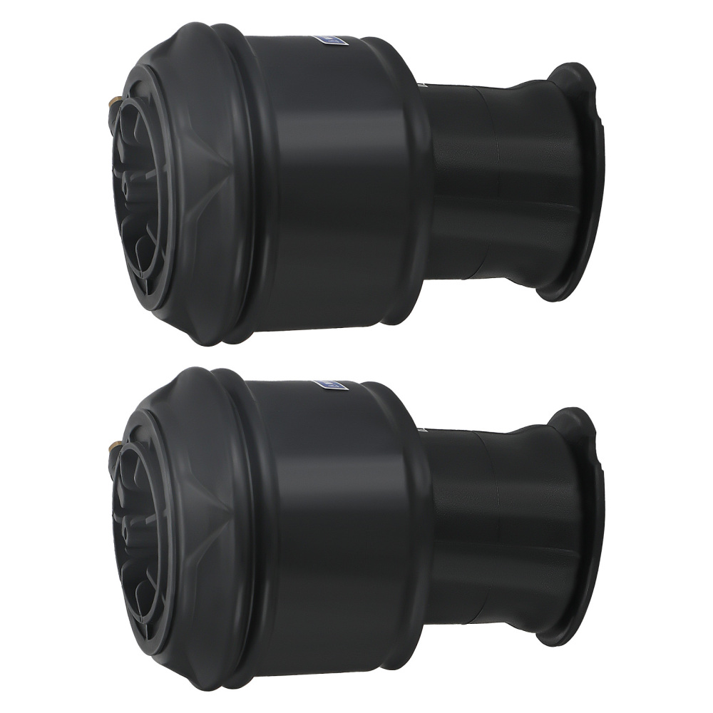 2X Borsa a sospensione pneumatica posteriore compatibile per Citroen C4 Gran Picasso 5102R8