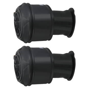 2X Borsa a sospensione pneumatica posteriore compatibile per Citroen C4 Gran Picasso 5102R8