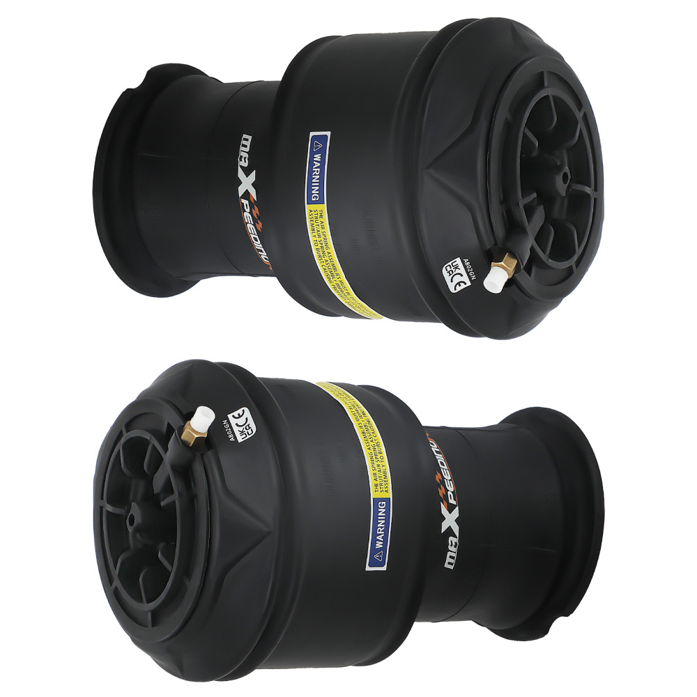 2X Borsa a sospensione pneumatica posteriore compatibile per Citroen C4 Gran Picasso 5102R8