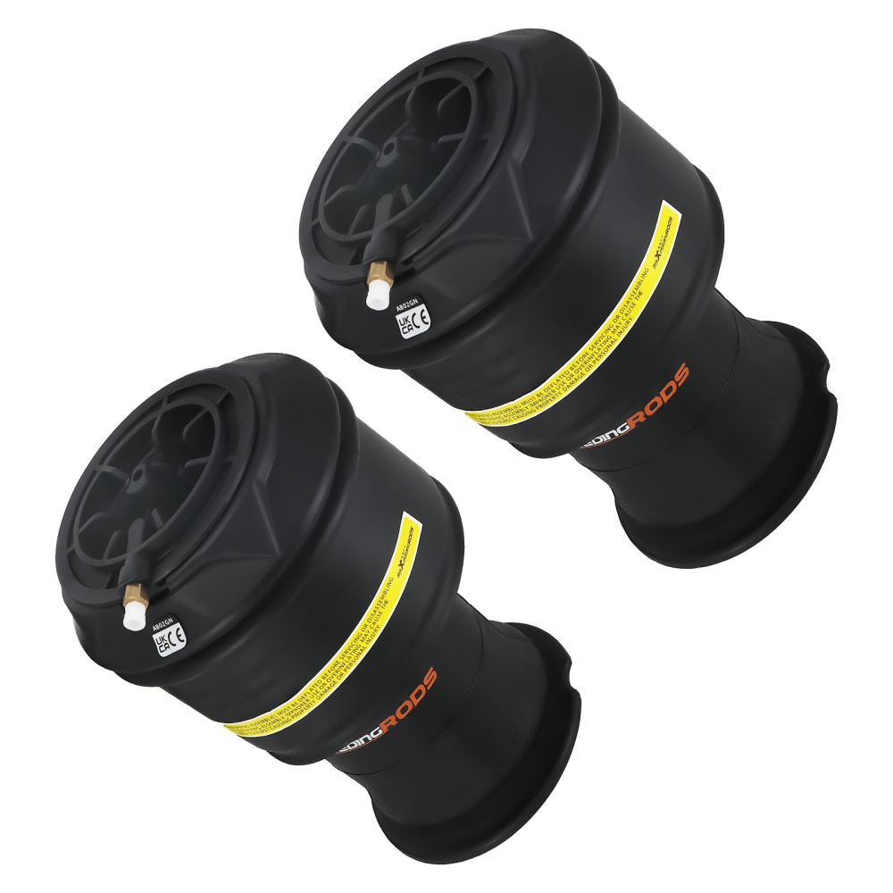 2X Borsa a sospensione pneumatica posteriore compatibile per Citroen C4 Gran Picasso 5102R8