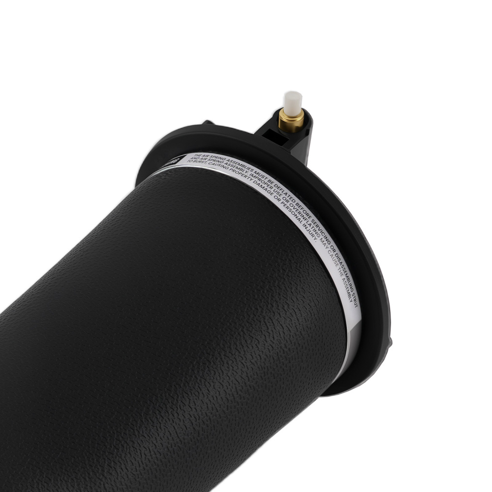 arrière Suspension Pneumatique Coussin RKB101460 compatible pour Land Rover Range Rover P3