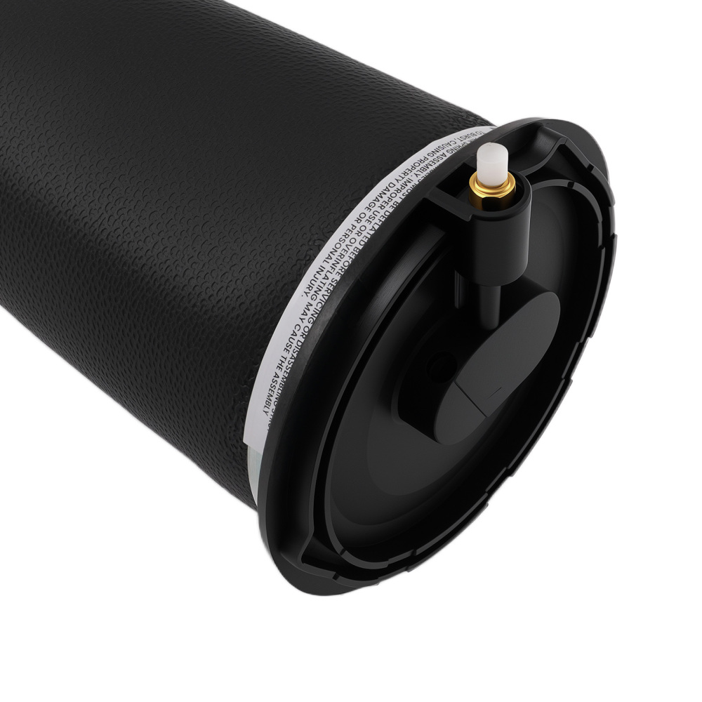 arrière Suspension Pneumatique Coussin RKB101460 compatible pour Land Rover Range Rover P3