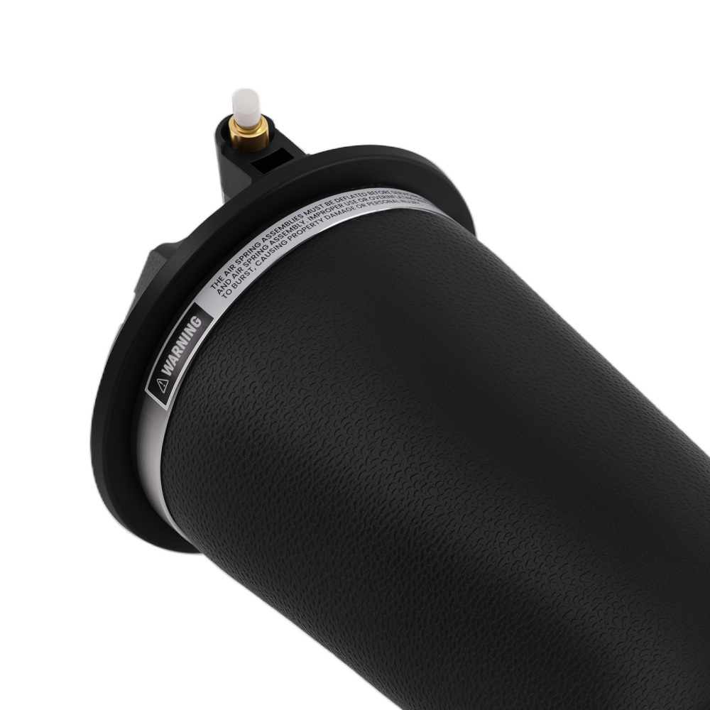 arrière Suspension Pneumatique Coussin RKB101460 compatible pour Land Rover Range Rover P3