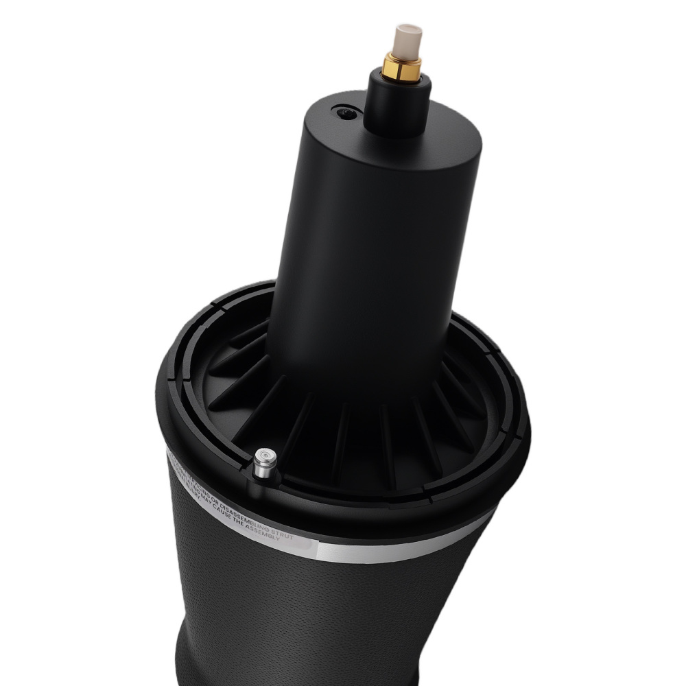 2x Air Suspension Avant Amortisseur compatible pour Range Rover P38 2.5D 4.6 REB101740