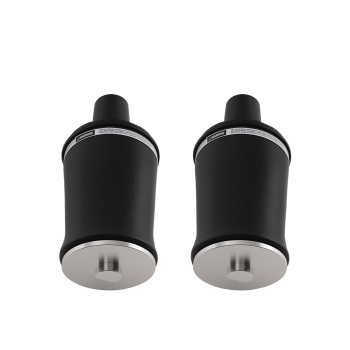 2x Air Suspension Avant Amortisseur compatible pour Range Rover P38 2.5D 4.6 REB101740