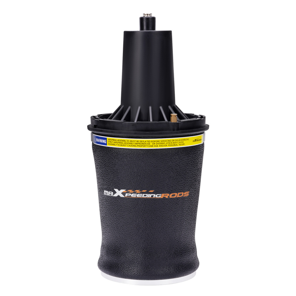 Amortisseur a air avant gauche/droite compatible pour Range Rover II 2.5 D 4.0 3.9