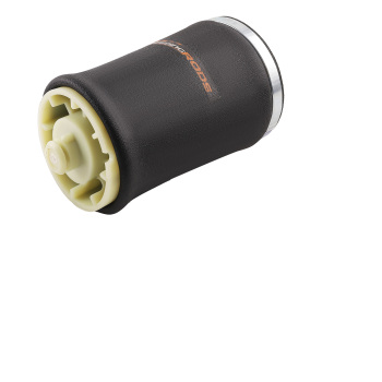 2 x compatible pour BMW E53 X5 ressorts de suspension pneumatique arrière 37126750356