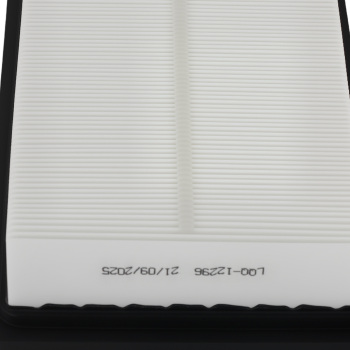 Air Filter compatible for Hyundai Accent 1.6L 2018-2022 28113-H9100 WA10835 AF5294