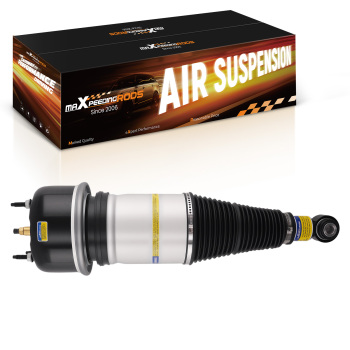 Posteriore Ammortizzatori dAria Sospensione compatibile per Jaguar X350 XJ6 XJ8 C2C41340