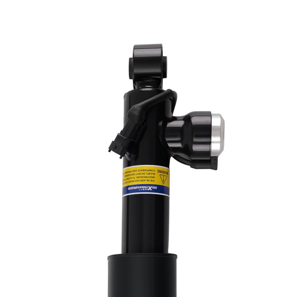 2x Ammortizzatore Posteriore compatibile per Opel Insignia A G09 2008-2017 Flexride