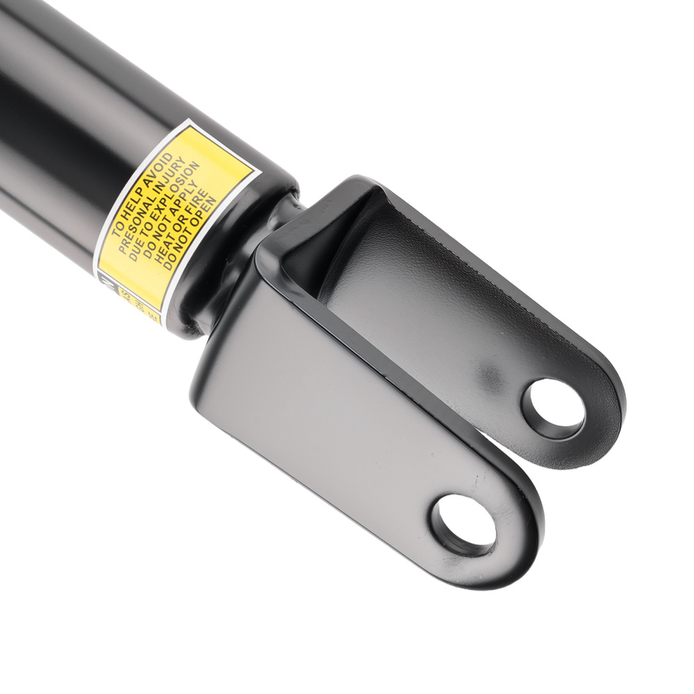 Air Shock Strut Front Left compatible for Lexus LS460 2007-2017 RWD 2WD 4802050242