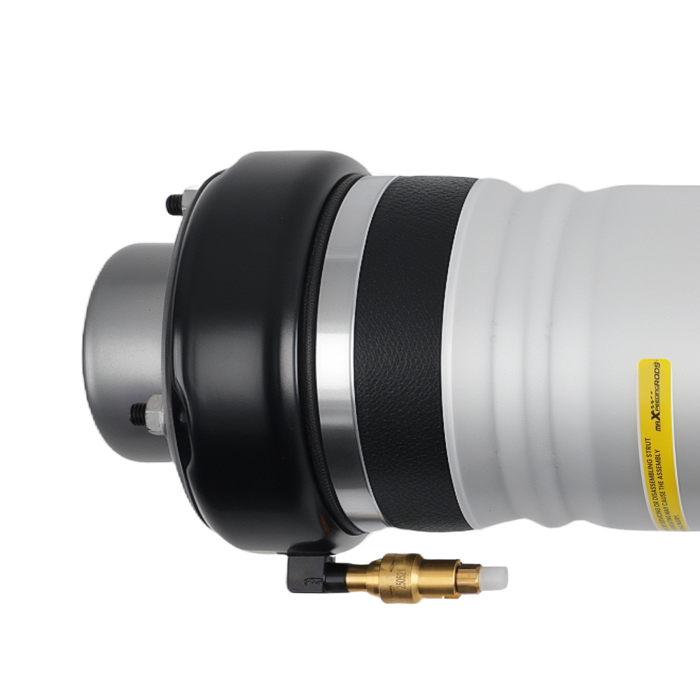 Nuovo compatibile per Audi A6 S6 4F0616039AA Anteriore Sinistra Aira sospensioni pneumatiche