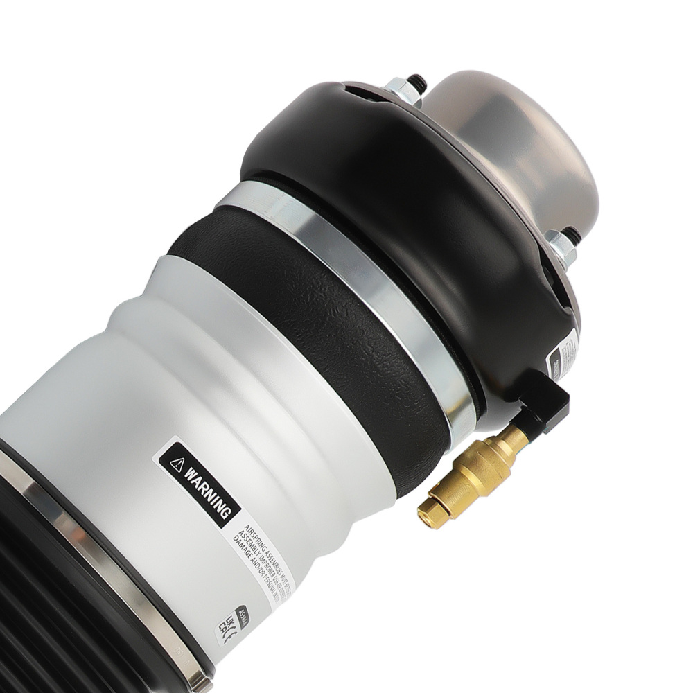 Amortisseur Suspension Pneumatique Struct avant gauche compatible pour Audi A6 4F0616039