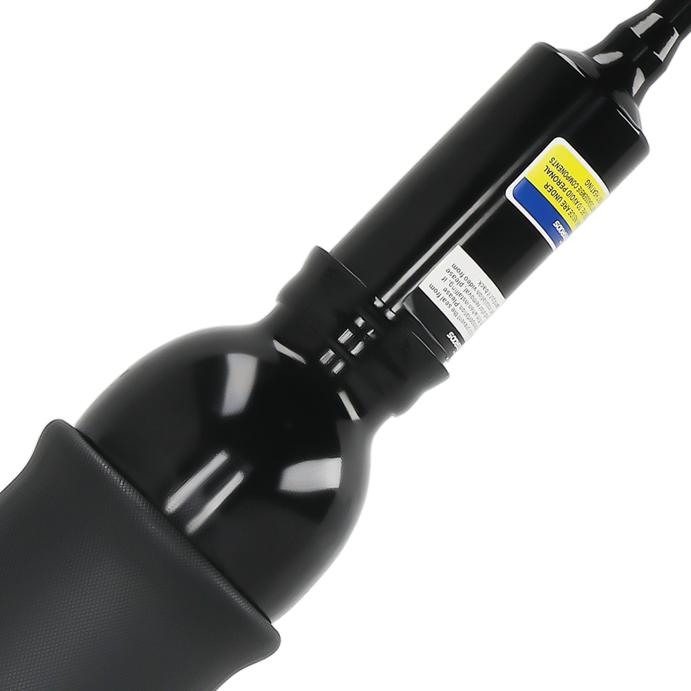 Air Suspension Strut Front compatible for Audi A6 C5 Allroad Quattro Wagon (C5) 2002-2004