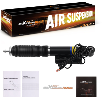 Ammortizzatore Posteriore destra Sospensione compatibile per Mercedes Classe E S211