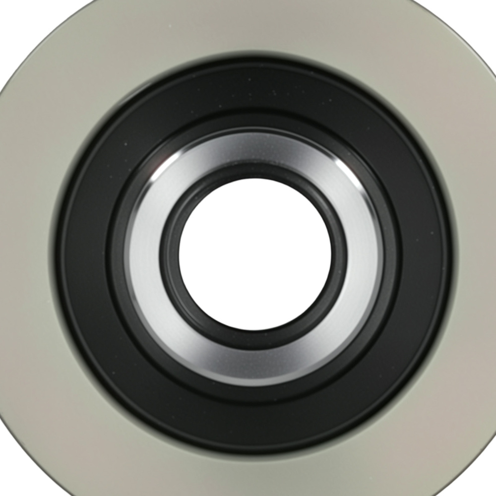 Alternator Clutch compatible for BMW 3 Series E90 E91 E92 2.0 3.0 2004-2013 AFP3008 Iron