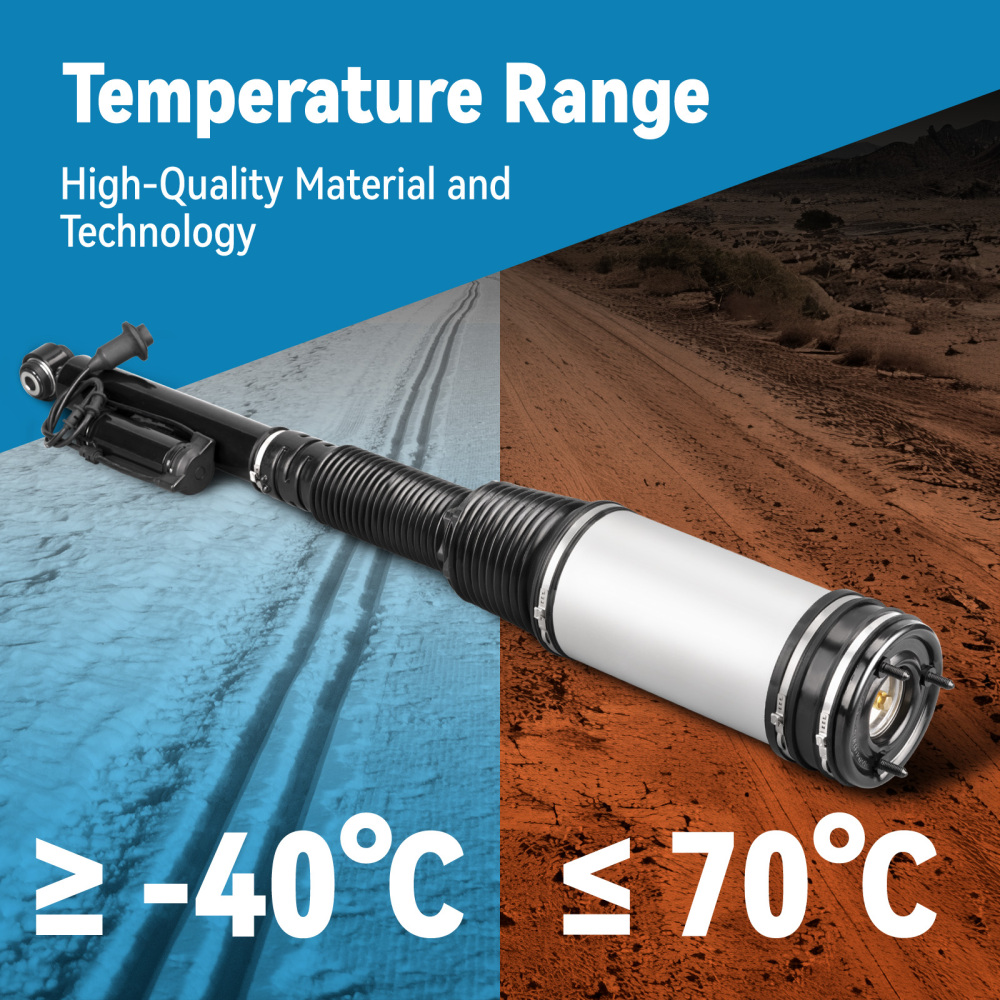 2x Rear Air Suspension Bags compatible for Mercedes-Benz S Class W220 S320/S430/S500/S600