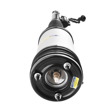 Rear Air Suspension Strut Shock compatible for Mercedes Benz W220 S600 2203205013 2001-2006