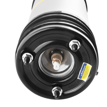 2x Arrière Suspension Pneumatique compatible pour Mercedes-Benz S-Class W220 A2203205013