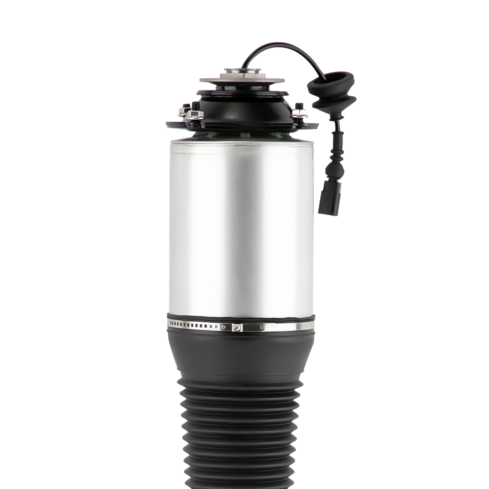 Front Air Suspension Shock Absorber for Audi A8 D3 4e 4e0616039 4e0616040