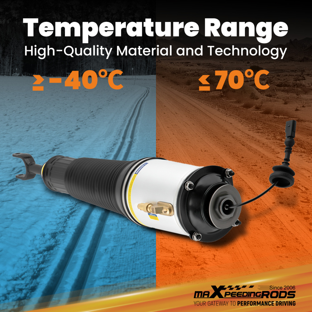 Front Air Suspension Shock Absorber for Audi A8 D3 4e 4e0616039 4e0616040