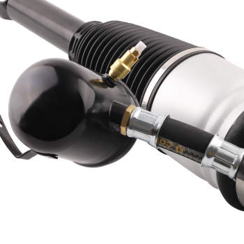 Rear Right Air Suspension Shock Strut compatible for Audi A8 D3 4E2 4E8 compatible for VW Phaeton 3D1 3D2