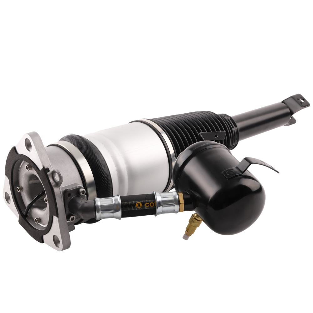 Ammortizzatore Posteriore destro compatibile per VW Phaeton 3D 2002-2016 4E0616002M