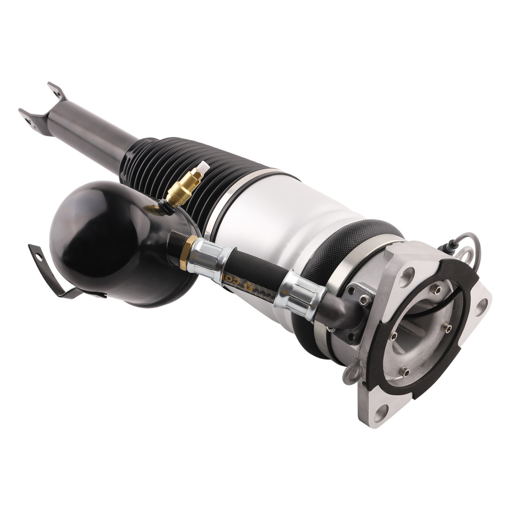 Ammortizzatore Posteriore destro compatibile per VW Phaeton 3D 2002-2016 4E0616002M