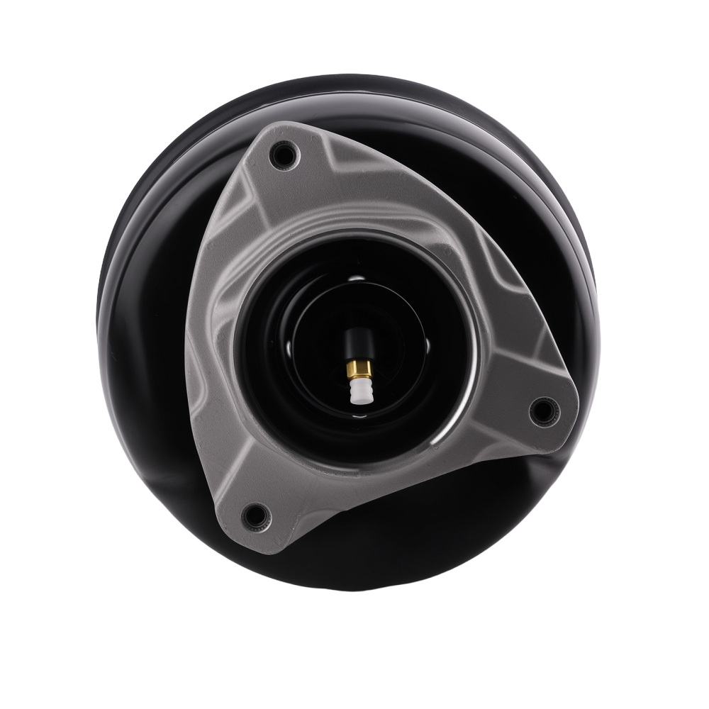 Avant Droite Jambe De Force Suspension Pneumatique compatible pour Mercedes X218 2183230900