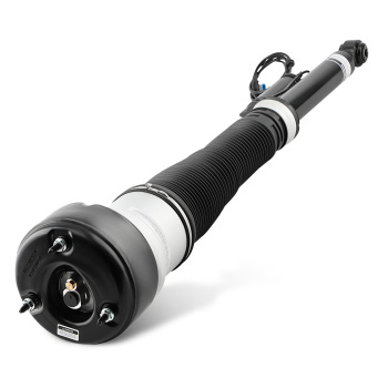 Sospensione Pneumatica Posteriore Sinistra compatibile per Mercedes S W221 C216 2213202113