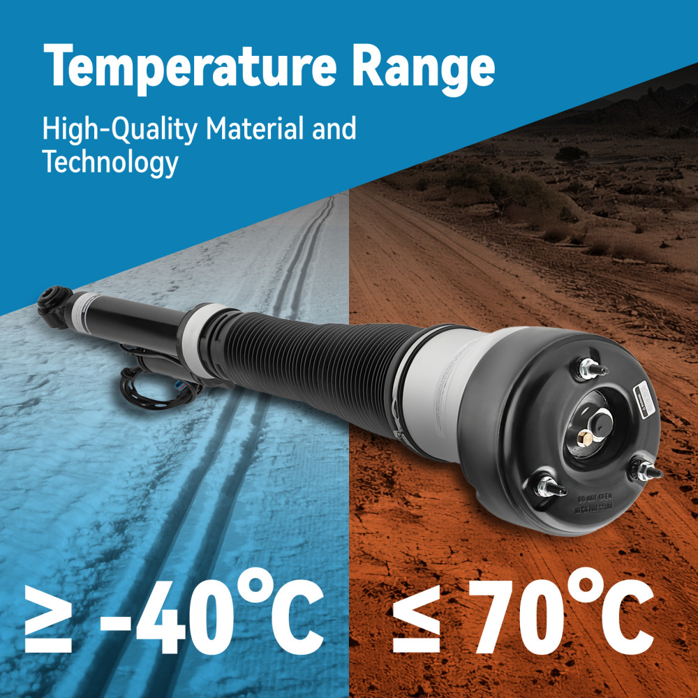 Jambe de Suspension pneumatique compatible pour Mercedes W221 C216 2213201338 Arrière gauche