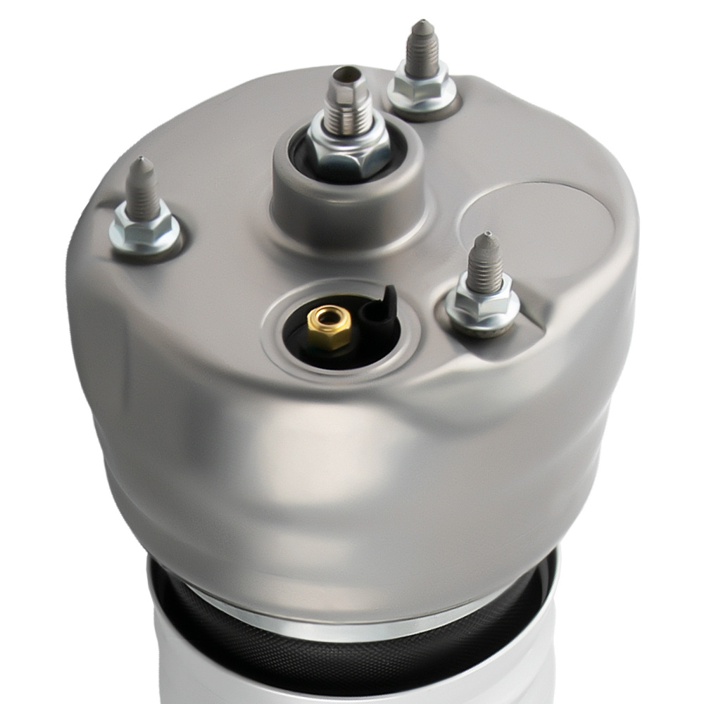 Front Air Shock Struts Pair compatible for Porsche Panamera 970 2010 2011 2012 2013